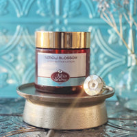 BEACH GLASS scented waterfree silicone free Vegan Body Butter