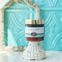 CITRUS CILANTRO scented water free silicone free Vegan Body Butter