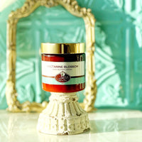 NECTARINE BLOSSOM scented waterfree silicone free Vegan Body Butter