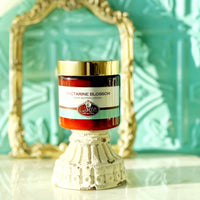NECTARINE BLOSSOM scented waterfree silicone free Vegan Body Butter