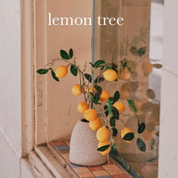 LEMON TREE scented waterfree silicone free Vegan Body Butter