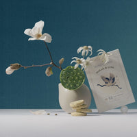 SKIN LIKE BUTTER & CO ~ LIFESTYLE - Shortbread Butter Cookies by Makabi & Sons