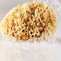 SKIN LIKE BUTTER & CO ~ LIFESTYLE - Essential Bath Accessories from BAUDELAIRE