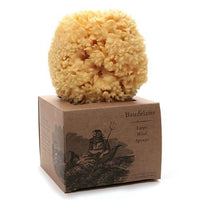 Skin Like Butter & Co boutique - Large Natural Sea Sponge by Baudelaire