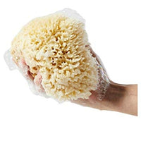 Skin Like Butter & Co boutique - Large Natural Sea Sponge by Baudelaire