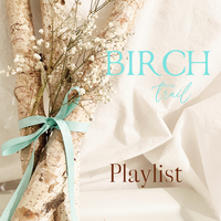 BIRCH BRANCH - Vegan Silicone Free Body Oil - FALL TREASURE CHEST save 30%