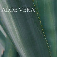 GREEN and CLEAN - 12 piece PERFUME SAMPLE SET - Collection, plus 3 Free Samples