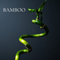 GREEN and CLEAN - 12 piece PERFUME SAMPLE SET - Collection, plus 3 Free Samples