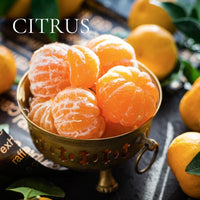 CITRUS Perfume Sample Set - 9 piece CITRUS Scents Collection, plus 3 Free Samples