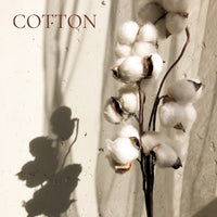 CLEAN AND FRESH Perfume Sample Set - 8 piece CLEAN and FRESH Scents Collection, plus 3 Free Samples