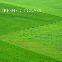 GREEN and CLEAN - 12 piece PERFUME SAMPLE SET - Collection, plus 3 Free Samples