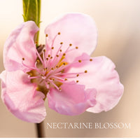 FLORAL Perfume Sample Set - 22 piece FLORAL Scents Collection, plus 3 Free Samples