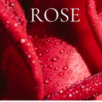 FLORAL Perfume Sample Set - 22 piece FLORAL Scents Collection, plus 3 Free Samples