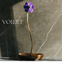 FLORAL Perfume Sample Set - 22 piece FLORAL Scents Collection, plus 3 Free Samples