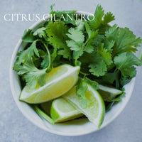 CITRUS Perfume Sample Set - 9 piece CITRUS Scents Collection, plus 3 Free Samples