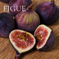 CLEAN AND FRESH Perfume Sample Set - 8 piece CLEAN and FRESH Scents Collection, plus 3 Free Samples