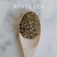 CLEAN AND FRESH Perfume Sample Set - 8 piece CLEAN and FRESH Scents Collection, plus 3 Free Samples