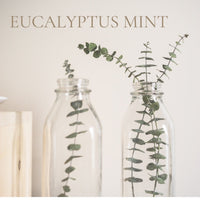 Special Order for Vanessa