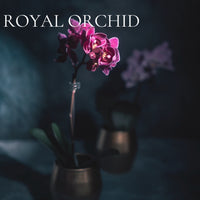 CASTLES AND RUINS 7 Perfume Scent Samples