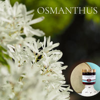 OSMANTHUS scented Body Butter - BOGO - Buy One 16 oz family size, get 1 any size 50% off deal