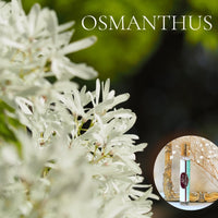 OSMANTHUS Scented Roll On Perfume Deal ~ Buy 1 get one 50% off-use coupon code 2PLEASE