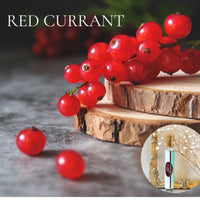 FALL TRESURE CHEST Perfume sample set - 30-piece FALL Scents plus 3 Free Samples