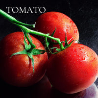 GREEN and CLEAN - 12 piece PERFUME SAMPLE SET - Collection, plus 3 Free Samples