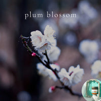 PLUM BLOSSOM scented waterfree silicone free Vegan Body Butter