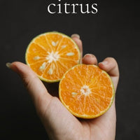 GRAPEFRUIT scented waterfree silicone free Vegan Body Butter