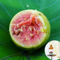 GUAVA- Scented Shea Oil - in 4 oz bottles, highly moisturizing