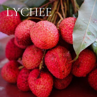 SUMMER TREASURE CHEST 30 PIECE PERFUME SAMPLE SET