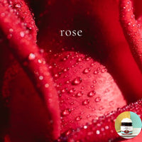 RED ROSE scented waterfree silicone free Vegan Body Butter