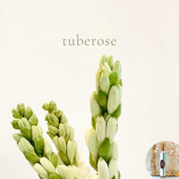 TUBEROSE travel perfume - BOGO deal