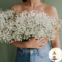 BABY'S BREATH Shea Oil -Vegan Silicone Free Body Oil
