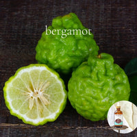 BERGAMOT Scented Shea Oil -Vegan Silicone Free Body Oil