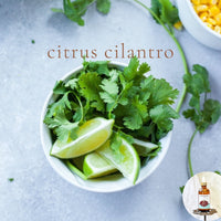 CITRUS CILANTRO - Scented Shea Oil -Vegan Silicone Free Body Oil
