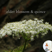 ELDER BLOSSOM AND QUINCE scented Shea Body Oil - best seller!!!, highly moisturizing