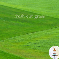 FRESH CUT GRASS -Scented Shea Oil -Vegan Silicone Free Body Oil