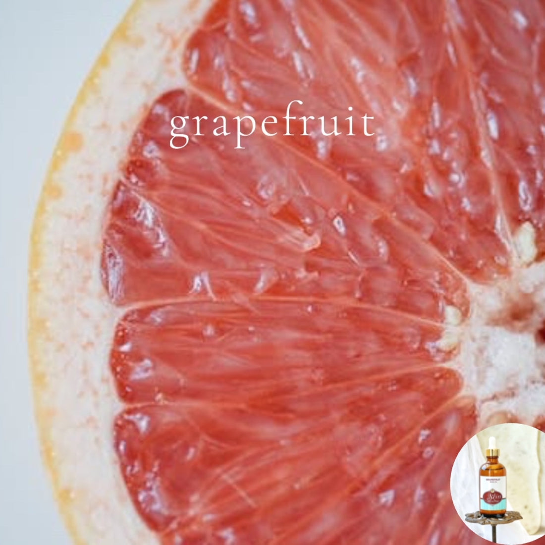 GRAPEFRUIT - Scented Shea Butter Non-greasy Body Oil - intense all day moisture