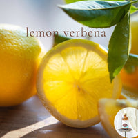LEMON VERBENA - Scented Shea Butter Non-greasy Body Oil - intense all day moisture