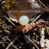 WHITE SANDALWOOD - Skin Like Butter Wild Crafted Scented Shea Oil, 4 oz