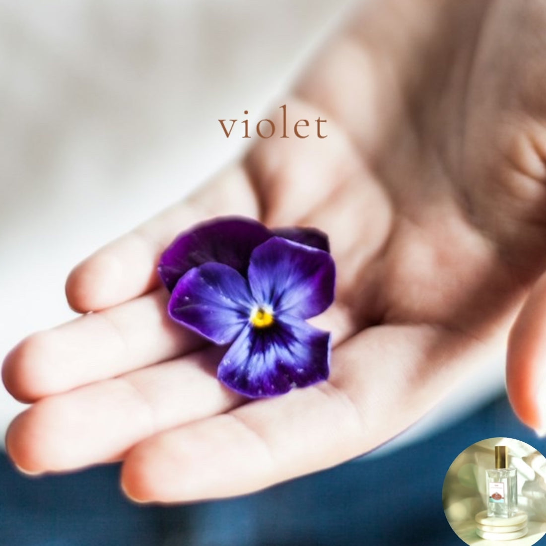 VIOLET -  Room and Body Spray, Buy 2 get 1 FREE