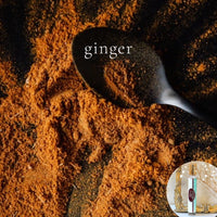 GINGER Scented travel perfume Perfume ~ Long Lasting Comfort Scent