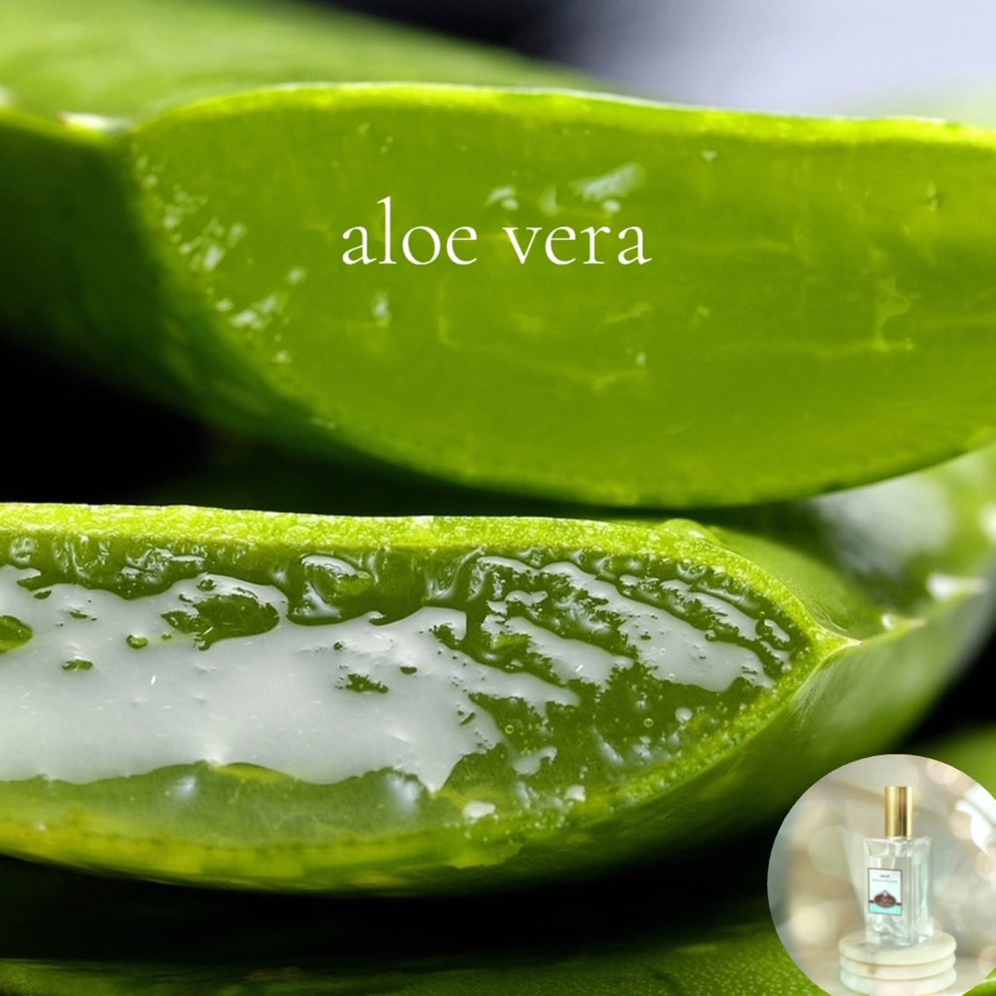 ALOE VERA - Room and Body Spray