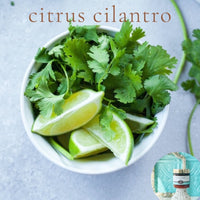 CITRUS CILANTRO scented water free silicone free Vegan Body Butter