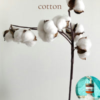 COTTON scented waterfree silicone free Vegan Body Butter