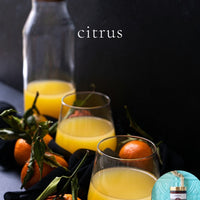 CITRUS scented waterfree silicone free Vegan Body Butter