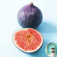 FIGUE scented waterfree silicone free Vegan Body Butter
