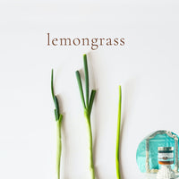 LEMONGRASS scented waterfree silicone free Vegan Body Butter