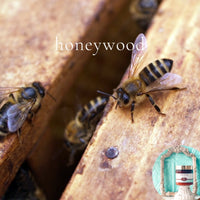 HONEYWOOD scented waterfree silicone free Vegan Body Butter